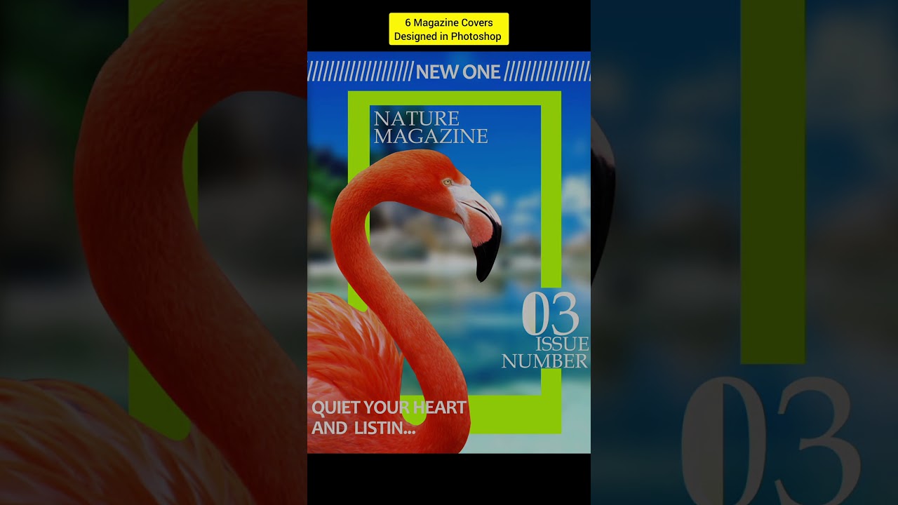 Magazine Cover Designs
