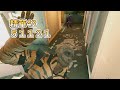R6X｜精華42｜51121