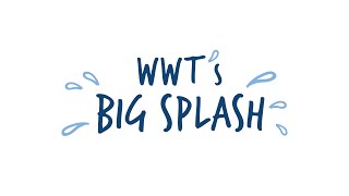 WWT's Big Splash - National Puddle Jumping Championships