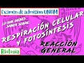 Reacción General de la Respiración Celular y de la Fotosíntesis || Biología UNAM