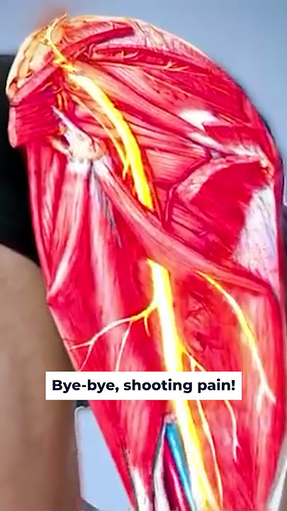 FE652 adjust to YT PFE594 V5 I0 A0 VL2 9x16 VID TLSY OB EdtOB CWSY AVTC 2