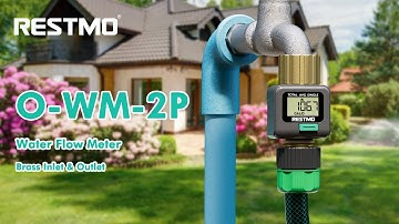 RESTMO Water Flow Meter--O-WM-2P-GY