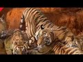 🔥 Class 12/Aunt Jennifer Tiger |Animated| video /poem #youtube 🎯