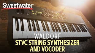 Waldorf STVC - Waldorf のデジタルシンセ「Streichfett」を