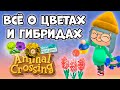 Все о цветах и гибридах в игре Animal Crossing: New Horizons (0+)