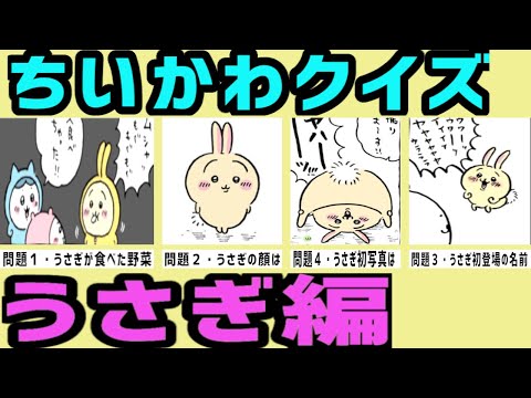 【ちいかわ】うさぎクイズ