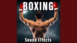 Boxing Glove Punches: Leather Smacks and Muffled Body Shots