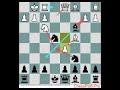Italian: Greco Gambit #Chess #ChessOpening #ChessOpenings #chesslife #chesstactics #chessstrategy