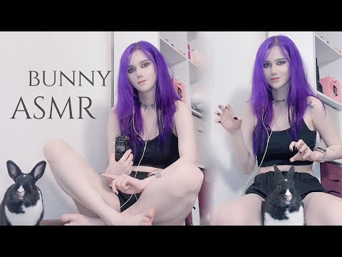 ASMR With My Bunny!