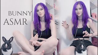 ASMR With My Bunny!