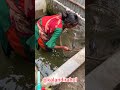 amazing dam fishing #fishing