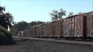 TRRS 251: Porter Jct: NS, CP, BNSF, UP & Amtrak #364