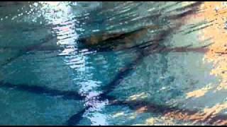 Jack Looi Vs Oxygen Cylinders