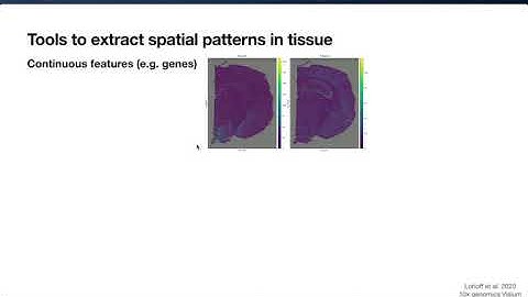 Squidpy: a scalable framework for... - Giovanni Palla - Special Session 05 - Poster - ISMB/ECCB 2021