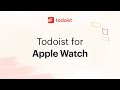 Todoist for Apple Watch