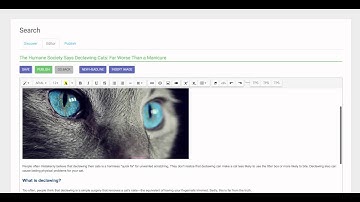 Curation With Inserting Photos