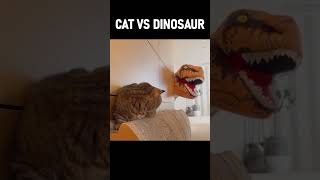CAT vs DINOSAUR #Cats #Dinosaur #Kittisaurus