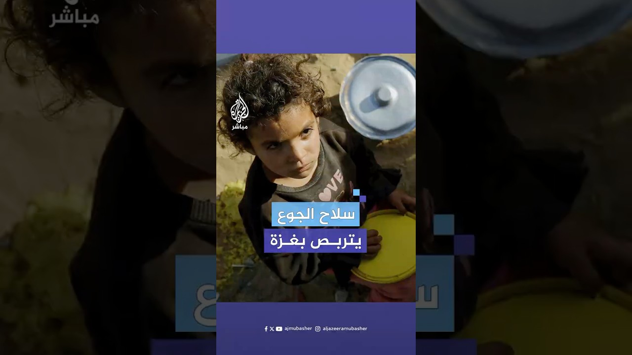 80% من مواطني غزة فقدوا مصدر الغذاء بعد وقف صرف المساعدات.. كيف تفاعل جمهور الجزيرة مباشر مع الخبر؟