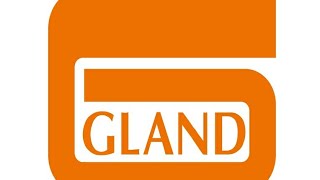 Gland Pharma | Fundamental Analysis | Stock \/ Share Analysis