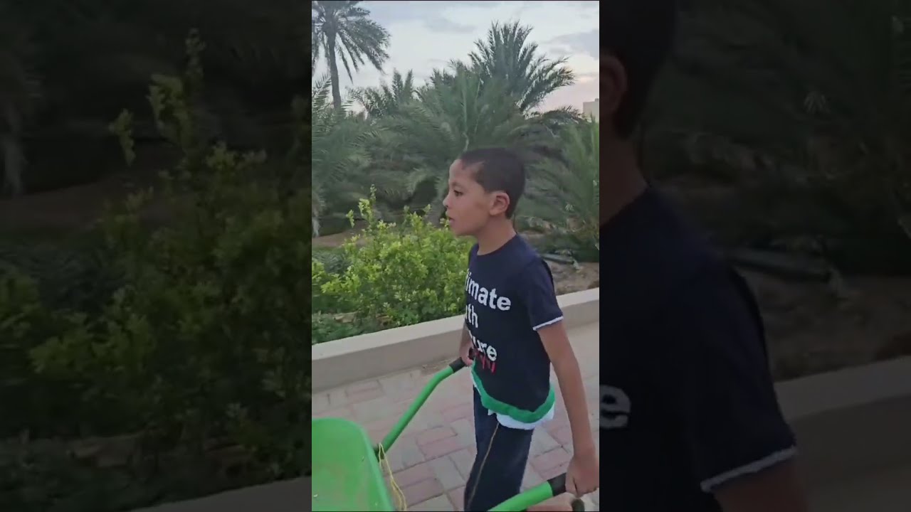 أكبر مزرعة نخل في #ولاية #نزوى #الداخلية #سوق #نزوى  ياسين ومزرعة النخل #كنز مصدق لقاه 🤣🤣🤣