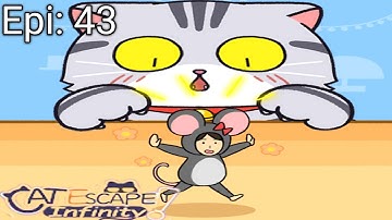 Cat escape infinity Hide & seek Episode 43