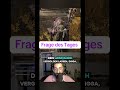 Frage des Tages #gaming #streaming #funnystreammoments #live #eldenring #zocken