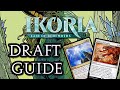 Ikoria draft guide  limited levelups 173