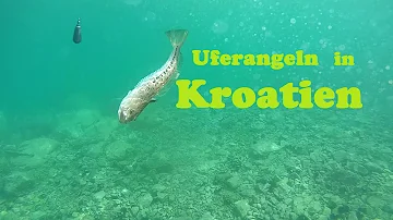 Wie angelt man in Kroatien vom Ufer?
