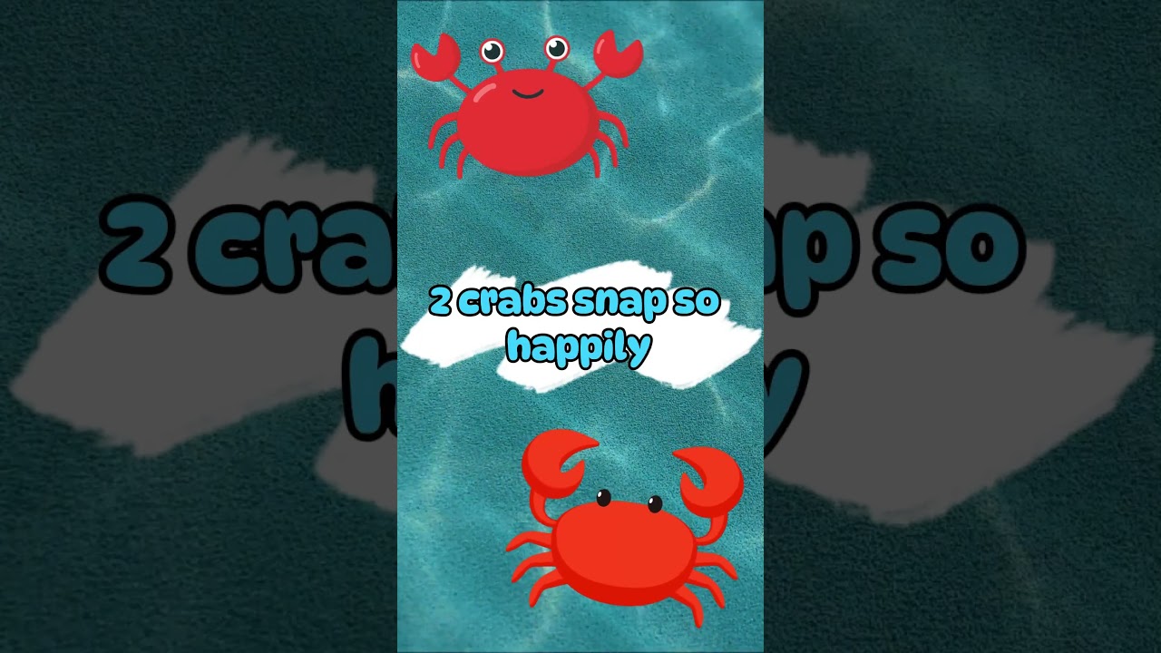 Counting 1 to 5 in the Sea! Kids Learn Numbers 