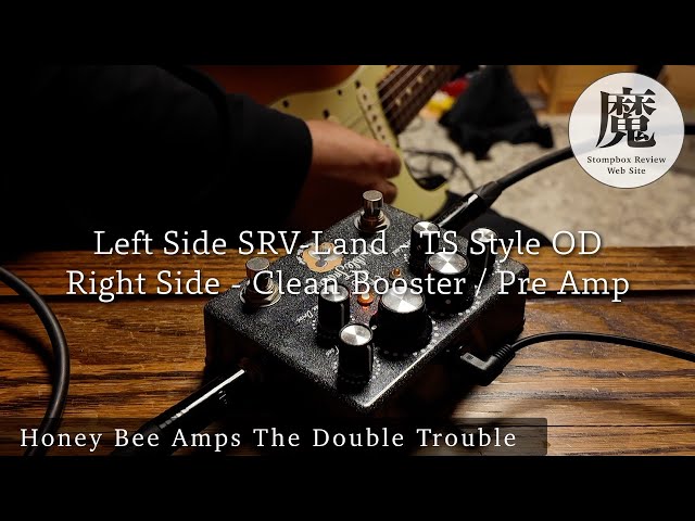 SRVサウンド】Honey Bee Amps The Double Troubleを弾いてみた