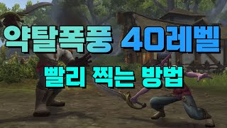 약탈폭풍 빠르게 40레벨 찍는 방법