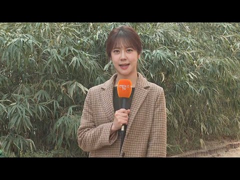 온화하지만 큰 일교차…대기 건조, 산불 등 화재 조심 / 연합뉴스TV (YonhapnewsTV)
