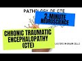 2-Minute Neuroscience: Chronic Traumatic Encephalopathy (CTE)