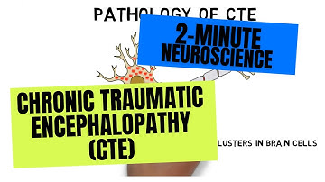 2-Minute Neuroscience: Chronic Traumatic Encephalopathy (CTE)