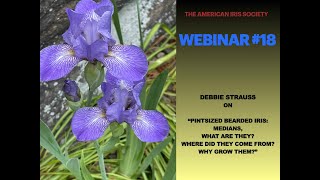 AIS Webinar #18 “PINTSIZED BEARDED IRIS: Medians - What are they Where did they come from... ”