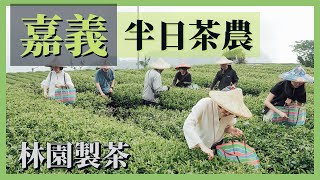 嘉義必玩阿里山採茶體驗之最林園製茶！ 化身一日茶農體驗 ... 