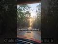 Solo Traveller #explore #life #forest #nallamallaforest #nature #naturelovers #ourplanet #relax#4k
