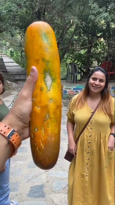 African Cucumber 🥒🤣 #shorts