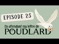 #25 EN ATTENDANT MA LETTRE DE POUDLARD - Harry, Ron et Hermione (avec Natina et Fanie)