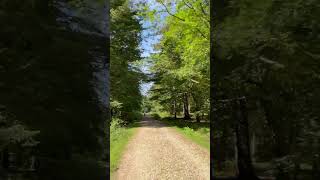 New Forest National Park,cycle track,UK