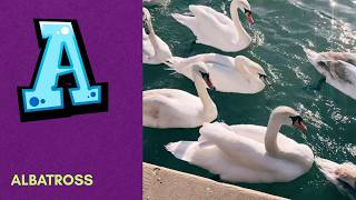 ABC Phonics Song | Alphabet letter sounds | ABC learning for toddlers | Education ABC Nursery Rhymes