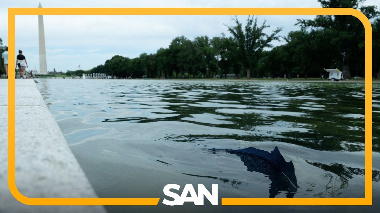 Blue liner floats to surface of newly renovated Reflecting Pool