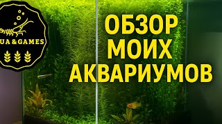 видео: ОБЗОР моих аквариумов 22.10.25 #аквариумистика #aquarium #aquascape #fishtank #рыбкидляаквариума картинка: ОБЗОР моих аквариумов 22.10.25 #аквариумистика #aquarium #aquascape #fishtank #рыбкидляаквариума