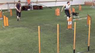 Avo , L , Entti , Kelpie , Hyl