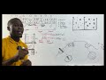 TRANSPORT ACROSS CELL MEMBRANES