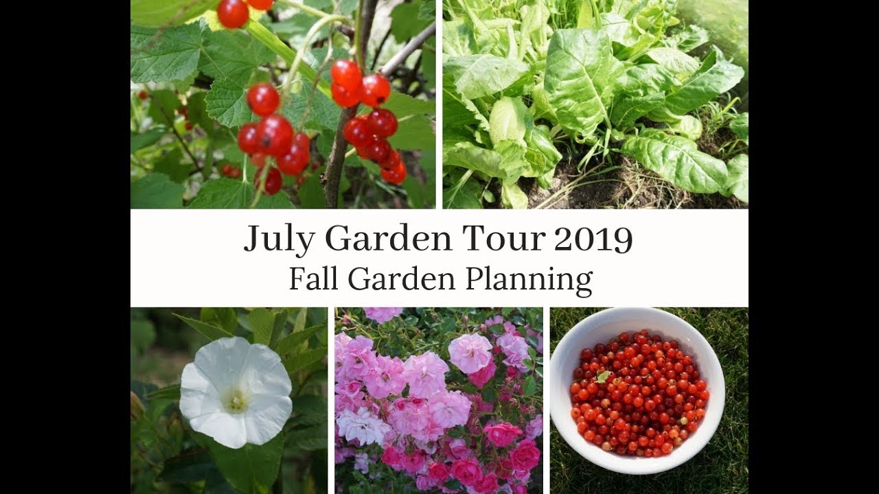 July Garden Tour 2019 - Harvest & Fall Garden Planning - YouTube