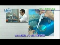 山崎研究所について　【キョーリン　Hikari　エサ　研究　品質管理】