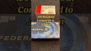 Ammo Comparison 300 Blackout VS .308 Win #ammo #300blackout #308 #shorts