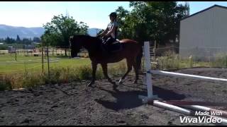 Carlos flatwork