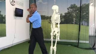 Limited  Shoulder Mobility will affect club path during during golf swing